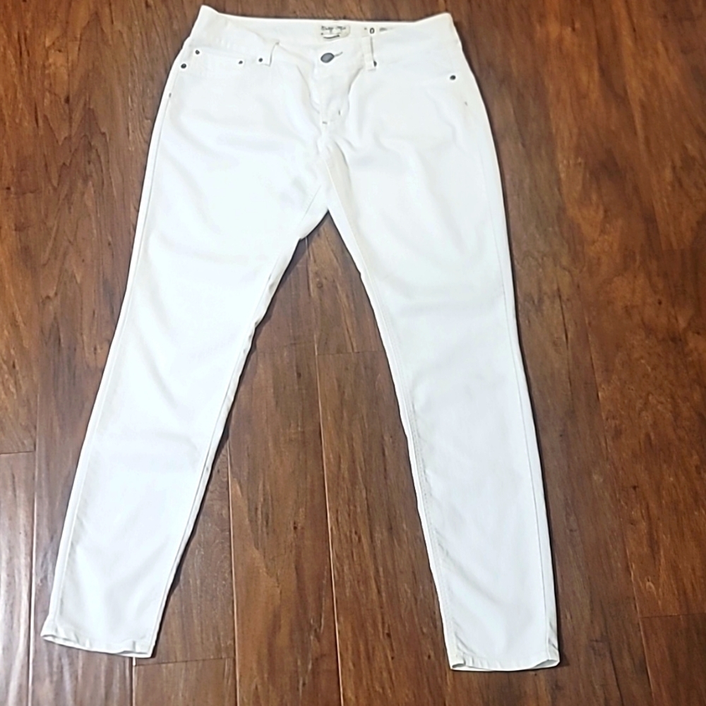 Indigo Rein Pants